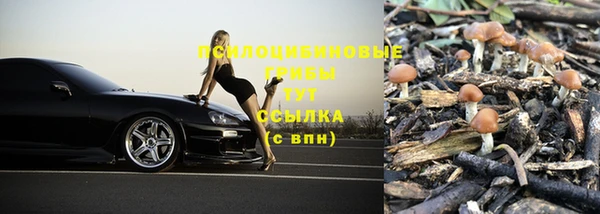 прущие крисы Абинск