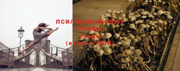 прущие крисы Абинск