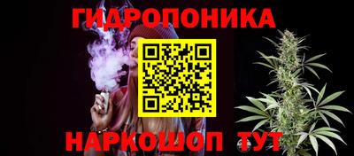 меф Гатчина