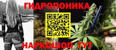 меф Гатчина