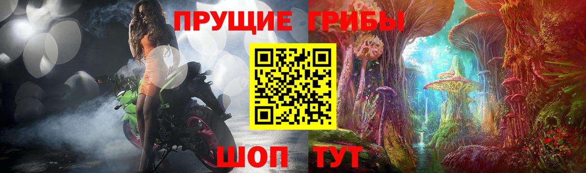 купить наркоту  Вход с VPN  Новочебоксарск  Галлюциногенные грибы мухоморы 